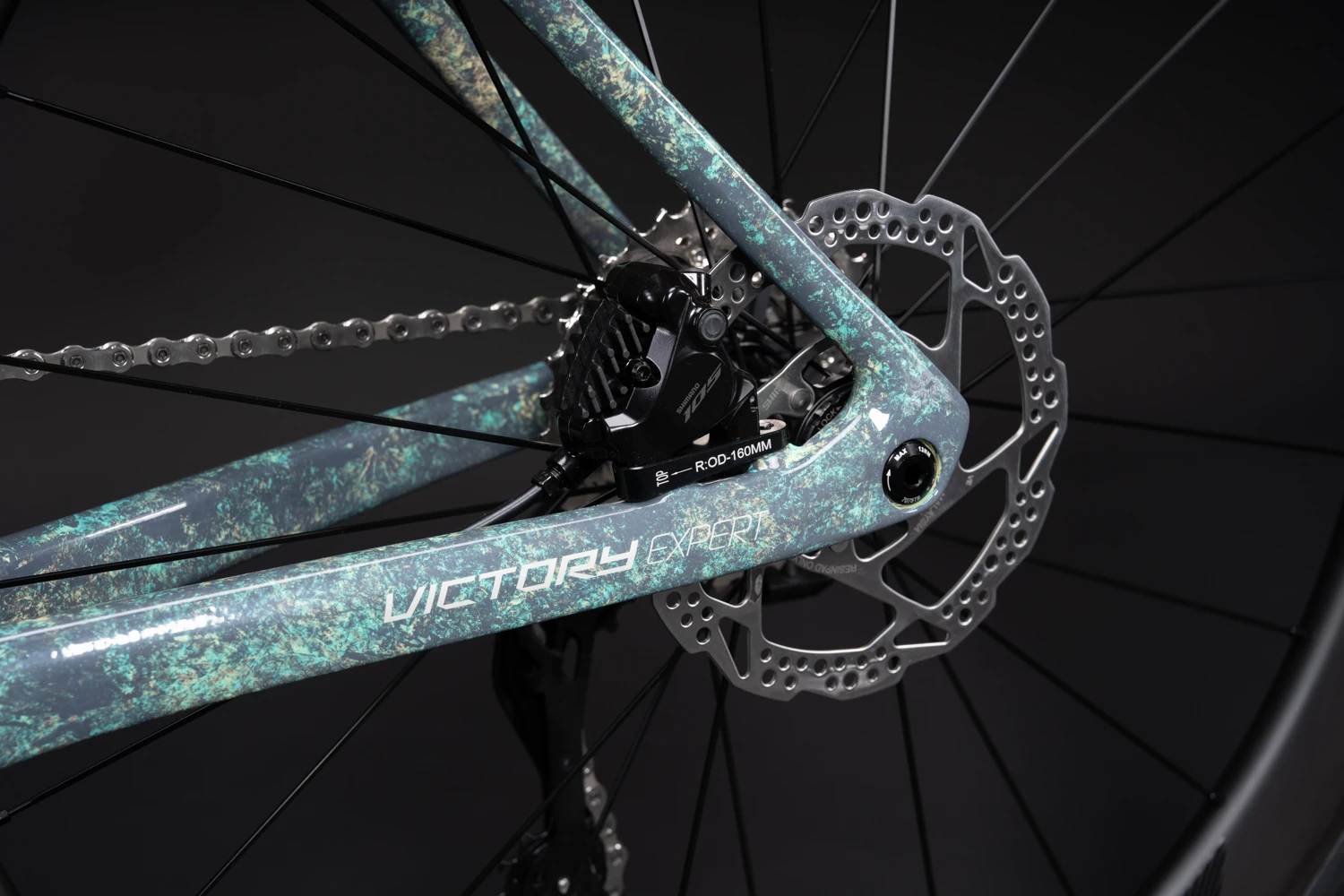 Tren trasero con rueda de carbono y disco Center Lock
